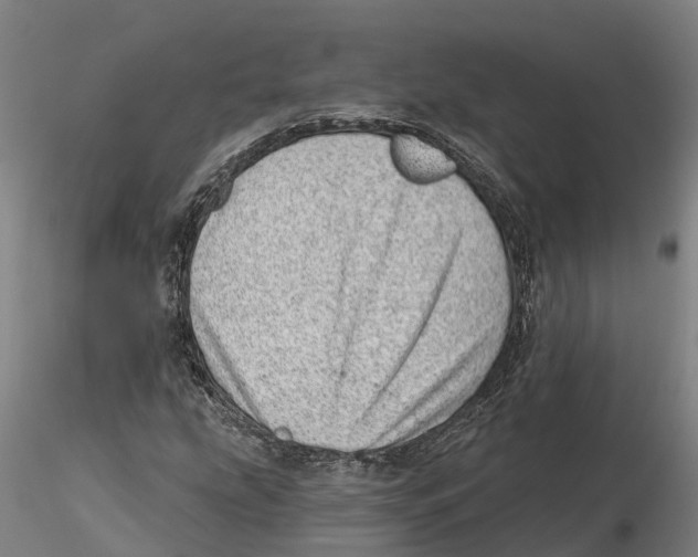 X0000115731207200912101444