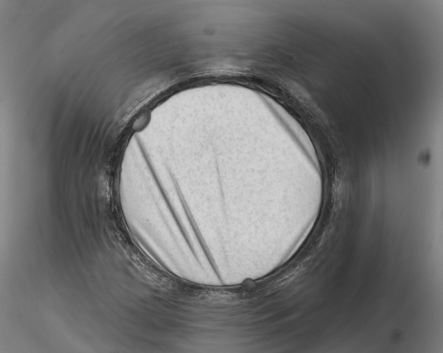 X0000115731209200912101444