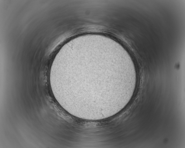 X0000115731211200912101444