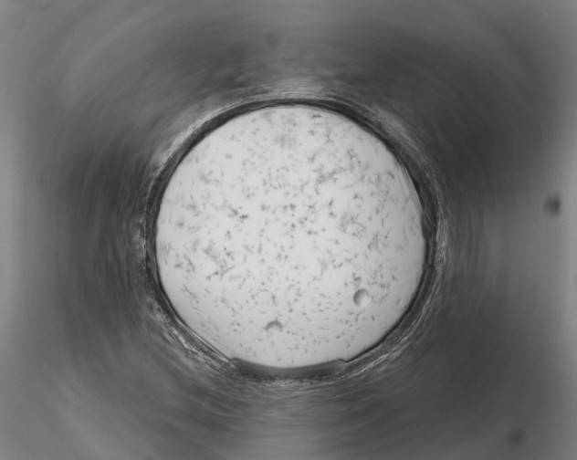 X0000115731212200912101444