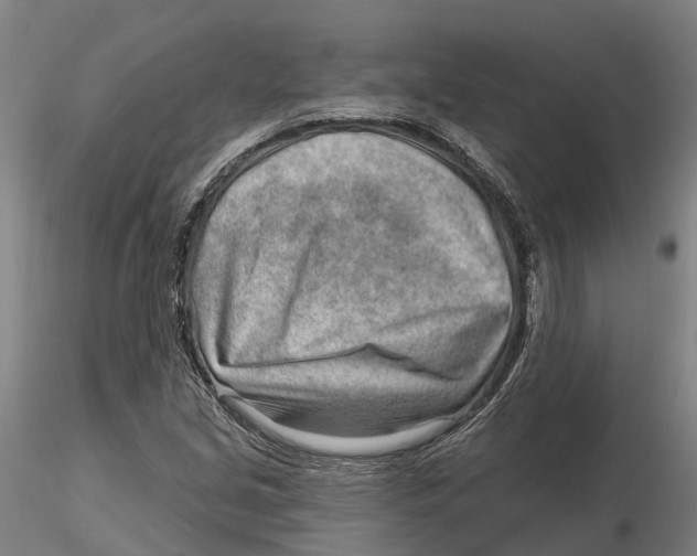 X0000115731213200912101444