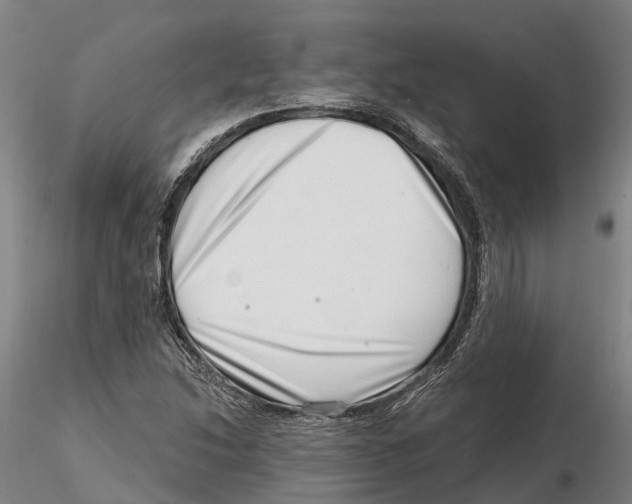 X0000115731214200912101444