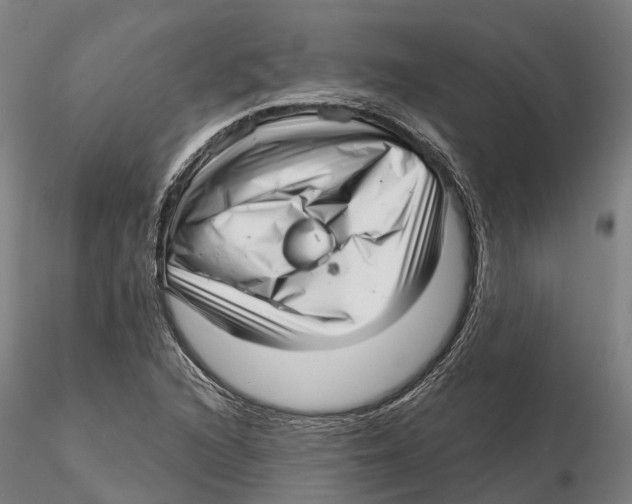 X0000115731216200912101444