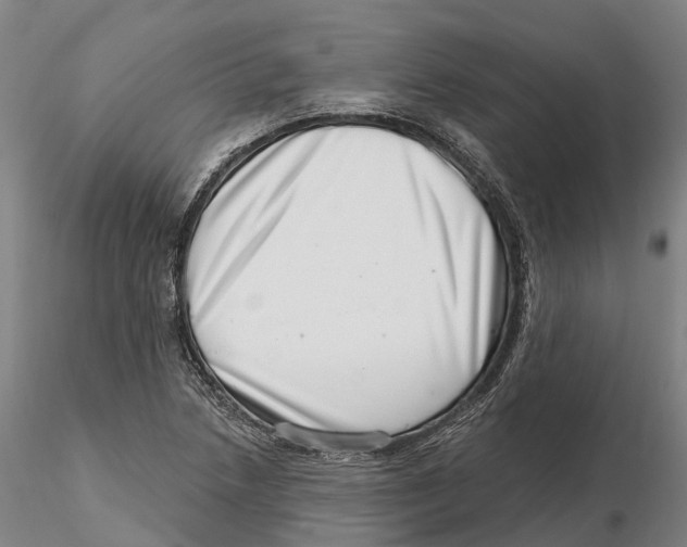 X0000115731218200912101444
