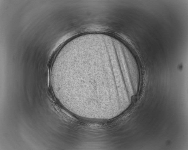 X0000115731219200912101444