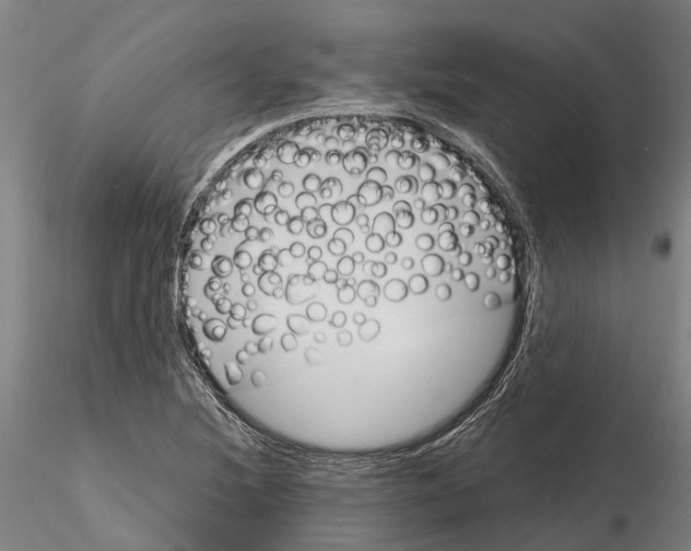 X0000115731220200912101444