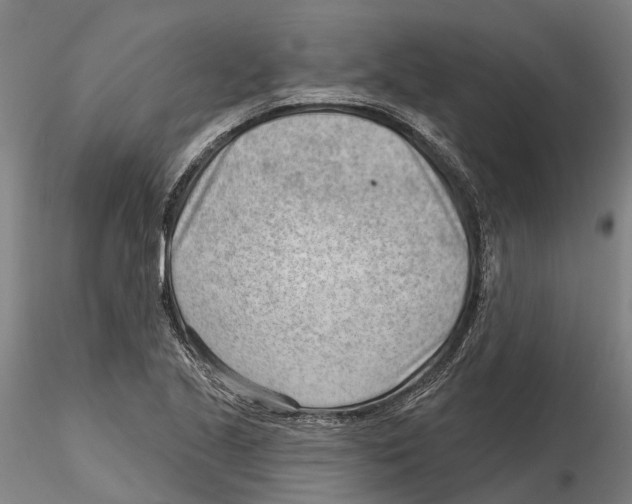 X0000115731221200912101444