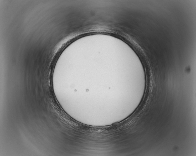 X0000115731222200912101444