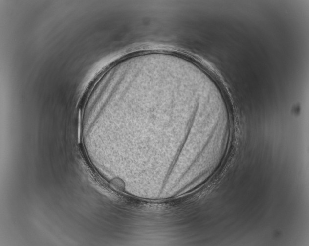 X0000115731223200912101444