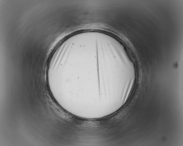 X0000115731224200912101444