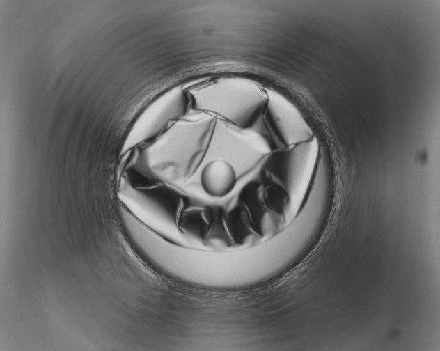X0000115731225200912101444