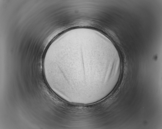 X0000115731226200912101444