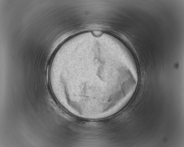 X0000115731227200912101444