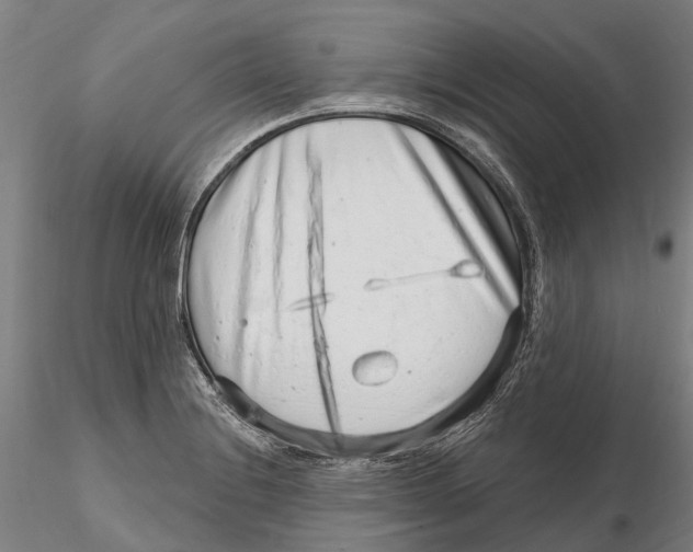 X0000115731228200912101444
