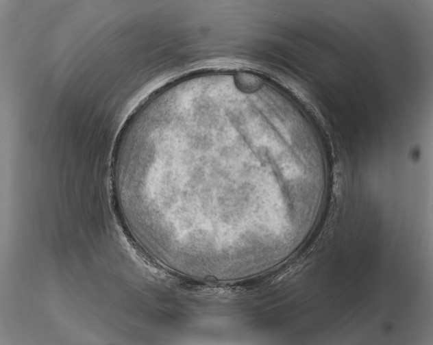 X0000115731229200912101444