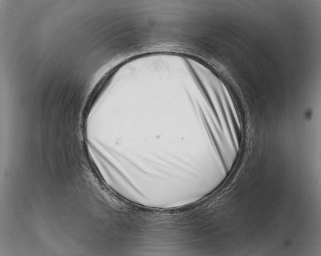 X0000115731230200912101444
