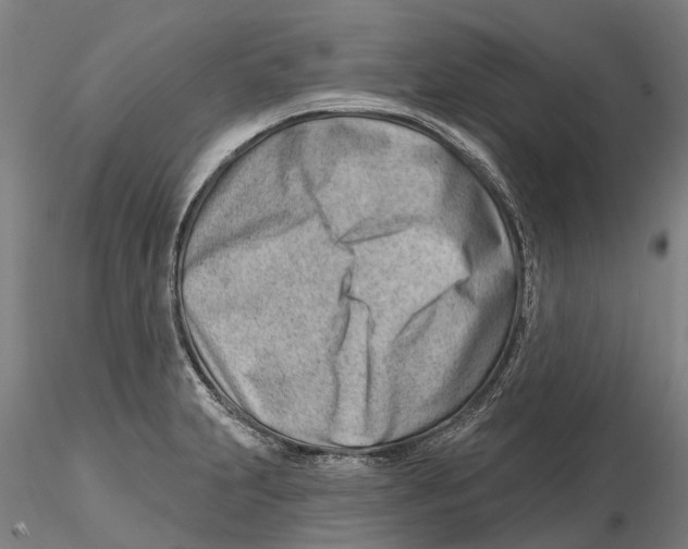 X0000115731231200912101444