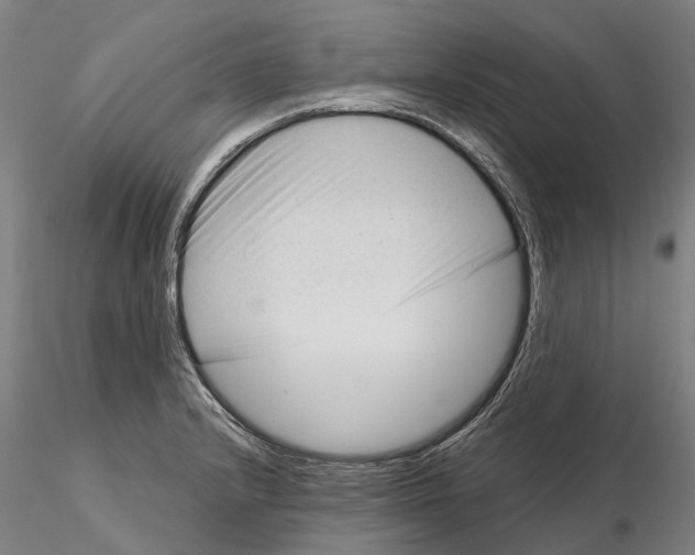 X0000115731232200912101444