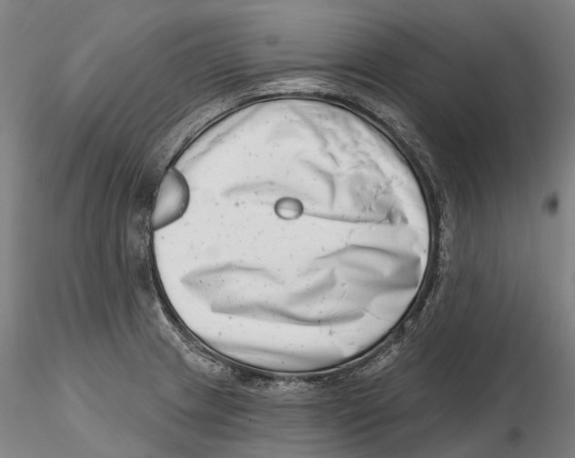 X0000115731233200912101444
