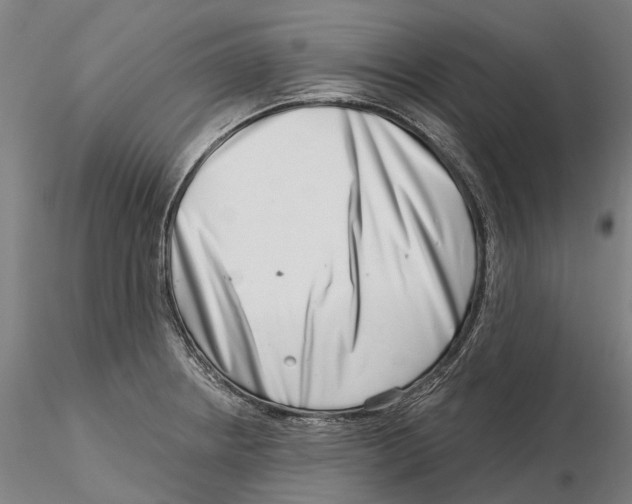 X0000115731234200912101444