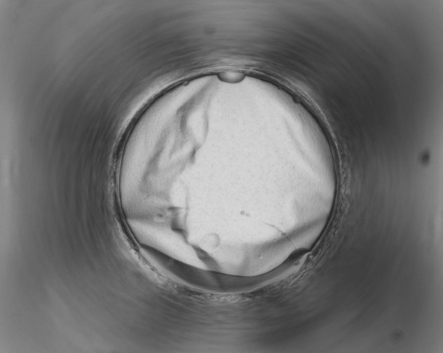 X0000115731235200912101444