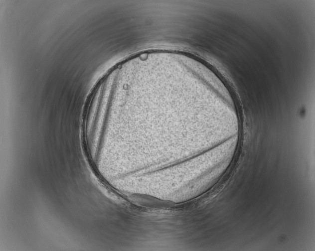 X0000115731237200912101444