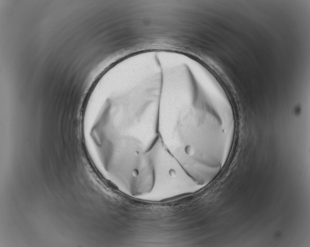 X0000115731238200912101444