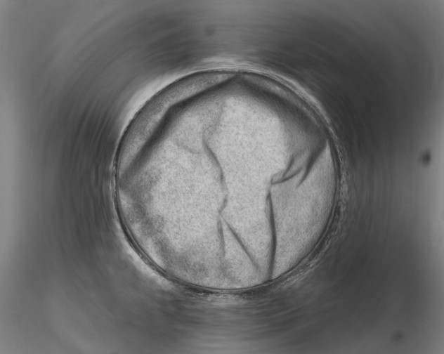 X0000115731239200912101444
