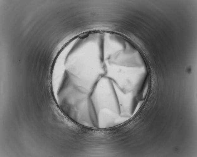 X0000115731240200912101444