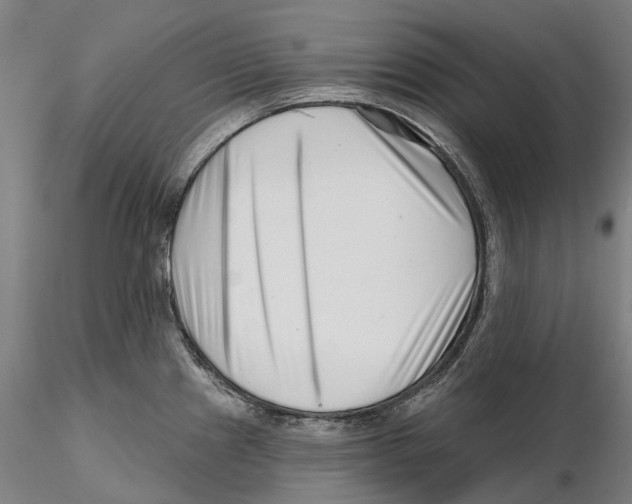 X0000115731241200912101444