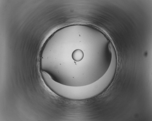 X0000115731243200912101444