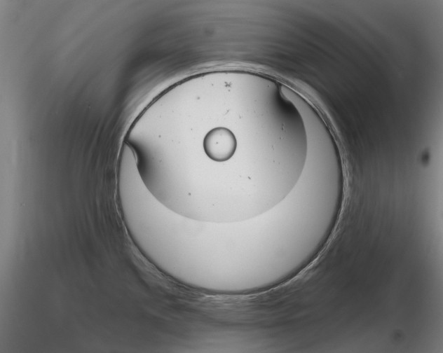 X0000115731244200912101444