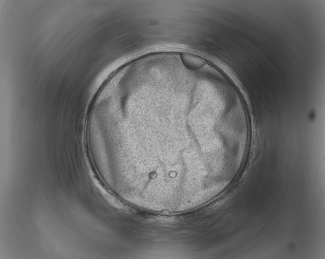 X0000115731245200912101444