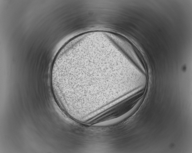 X0000115731246200912101444