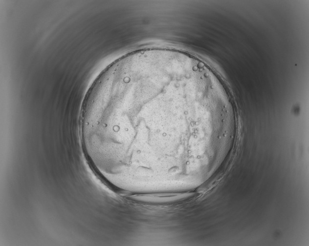 X0000115731247200912101444