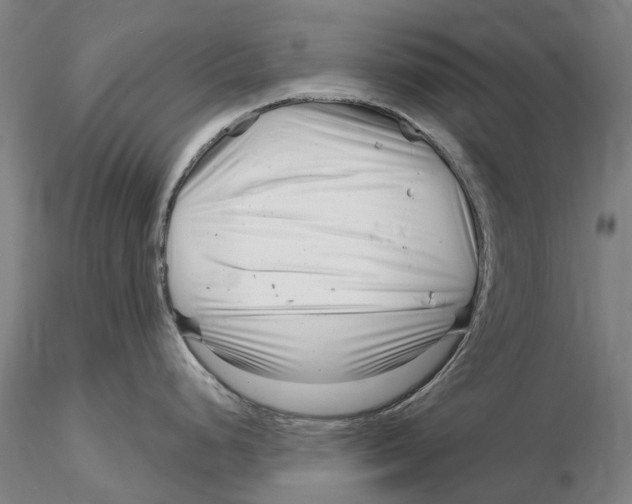 X0000115731248200912101444