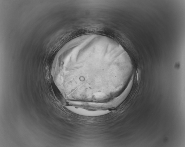 X0000115731251200912101444