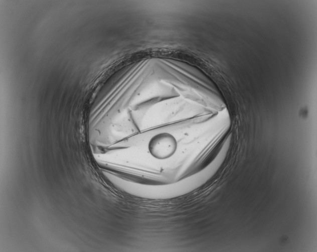 X0000115731252200912101444