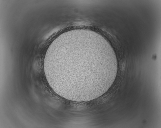 X0000115731254200912101444