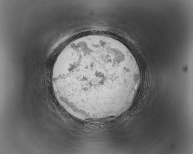 X0000115731255200912101444
