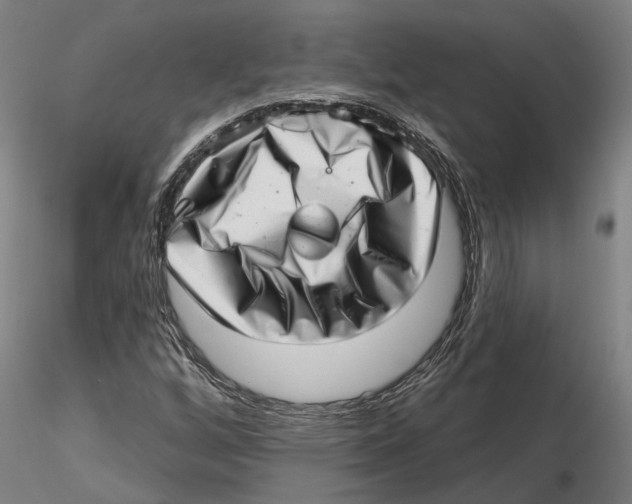 X0000115731256200912101444