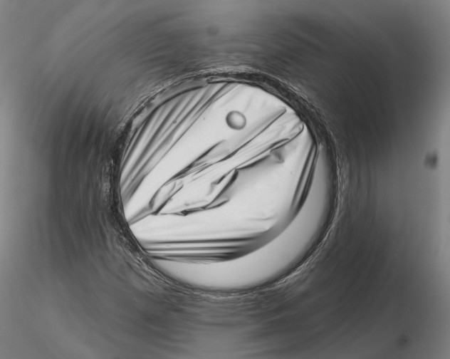 X0000115731257200912101444