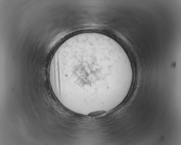 X0000115731259200912101443