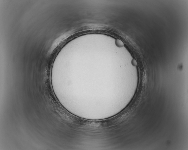 X0000115731261200912101443