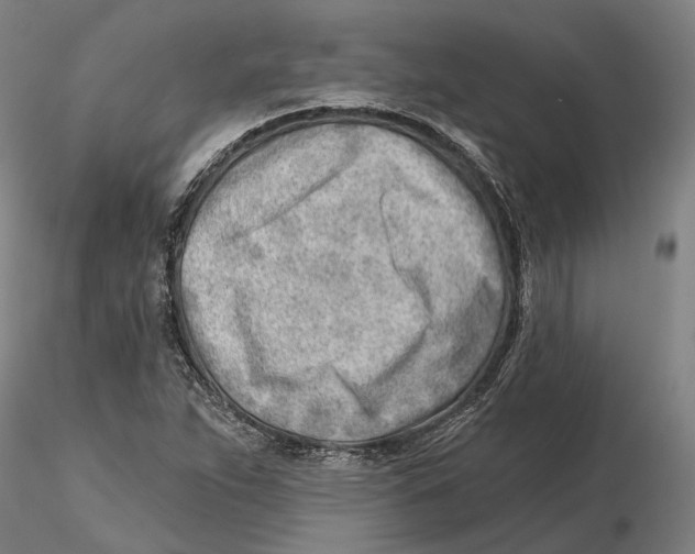 X0000115731263200912101443