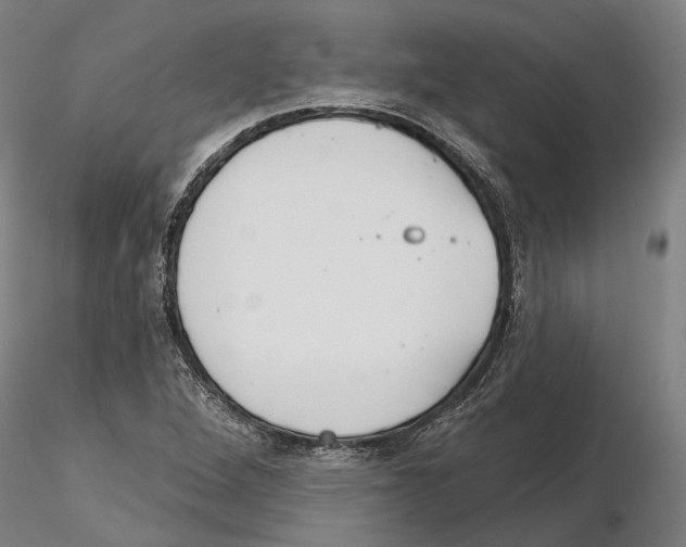 X0000115731264200912101443