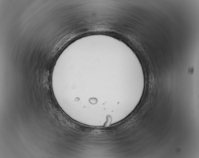 X0000115731265200912101443