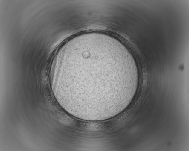 X0000115731266200912101443