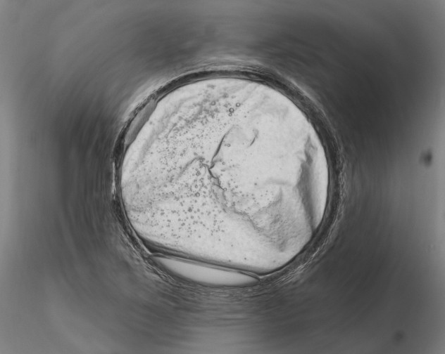 X0000115731267200912101443