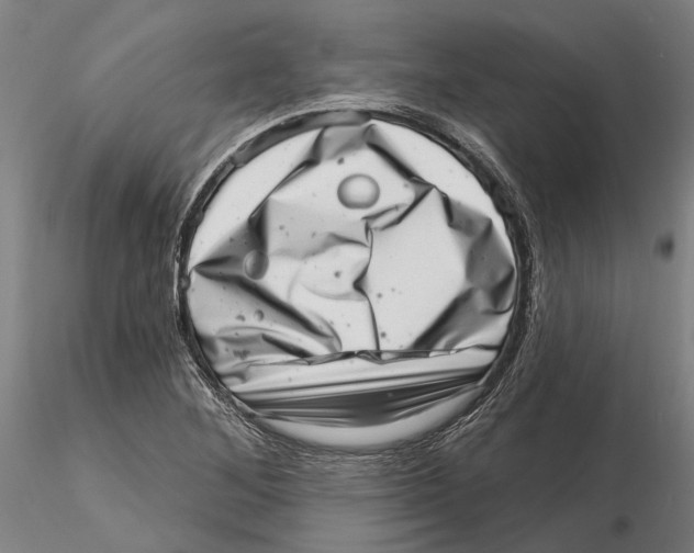 X0000115731268200912101443